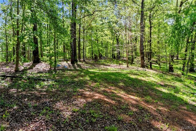 13941 Smokey Hollow, Northport, AL 35475