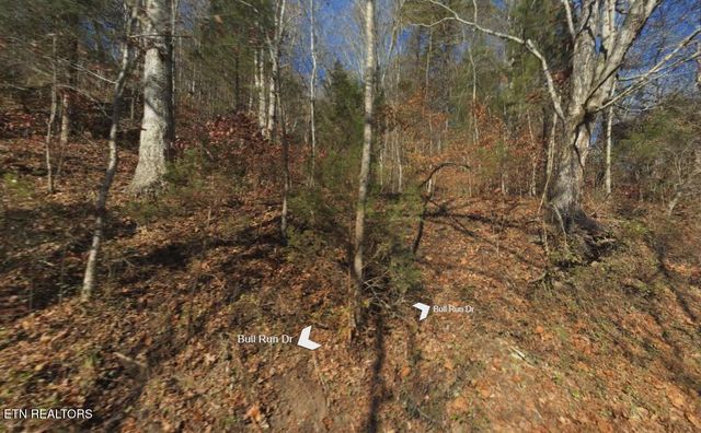 Bull Run Drive, Knoxville, TN 37938