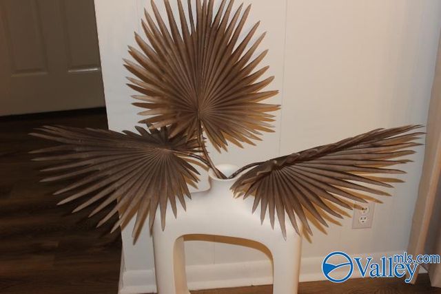 855 Church Avenue, Rainsville, AL 35986