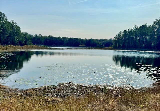 313 WHITE SANDS BEACHES DRIVE, Hawthorne, FL 32640