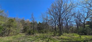 0000 Wilderness Springs - Tract CCCCC Trail, Lead Hill, AR 72544