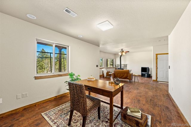 417 Beaver Creek Drive, Lake George, CO 80827