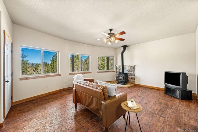 417 Beaver Creek Drive, Lake George, CO 80827