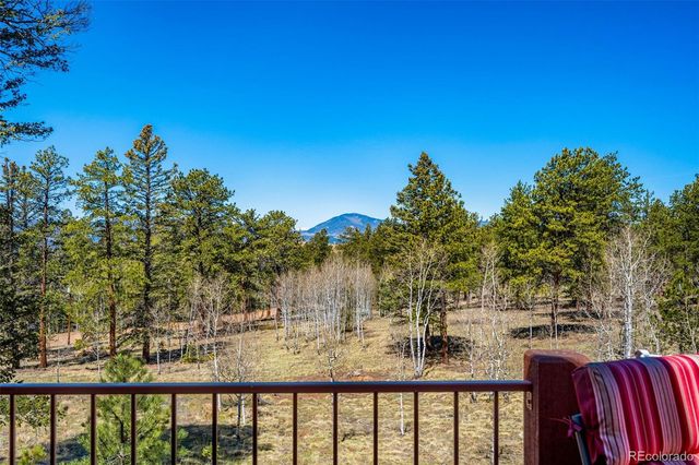 417 Beaver Creek Drive, Lake George, CO 80827