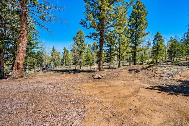 417 Beaver Creek Drive, Lake George, CO 80827