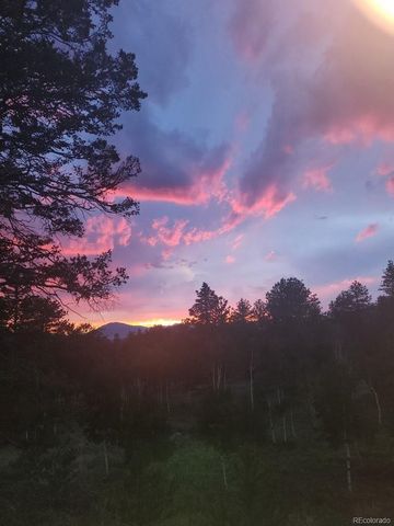 417 Beaver Creek Drive, Lake George, CO 80827