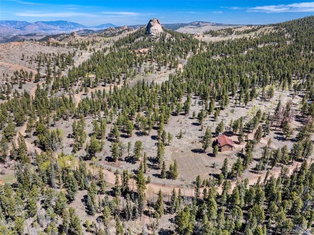 417 Beaver Creek Drive, Lake George, CO 80827