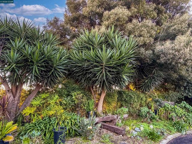 3229 Toyon Ter, Alameda, CA 94501