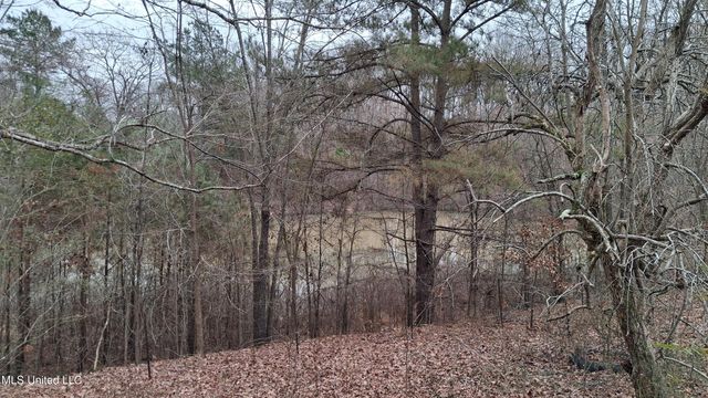 877 S Red Banks Road, Holly Springs, MS 38635