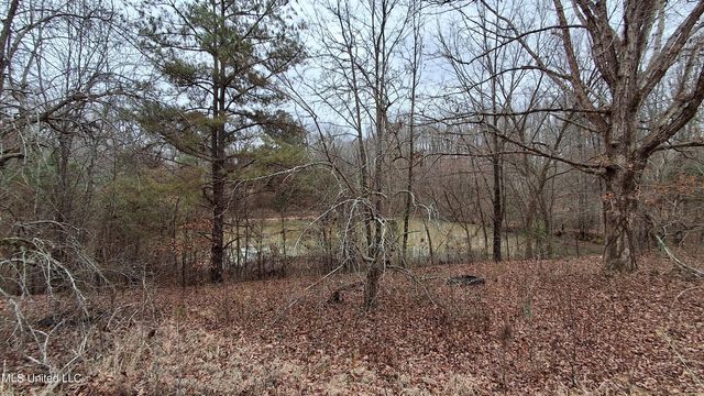 877 S Red Banks Road, Holly Springs, MS 38635