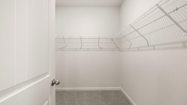 43 Cyrilla Walk, Dallas, GA 30132