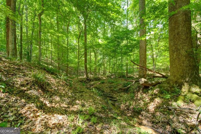 1981 Mountain Road, Alpharetta, GA 30004