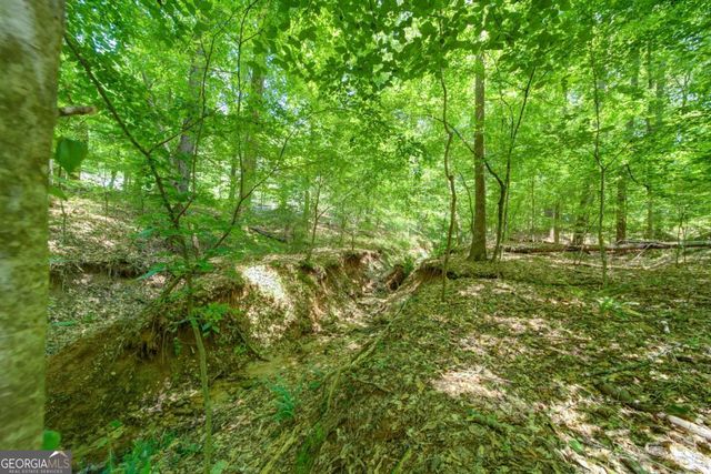 1981 Mountain Road, Alpharetta, GA 30004