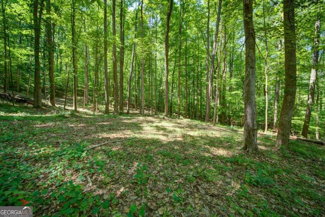 1981 Mountain Road, Alpharetta, GA 30004