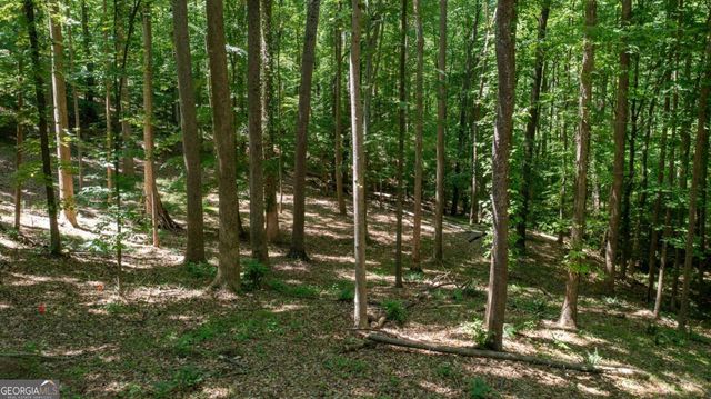 1981 Mountain Road, Alpharetta, GA 30004