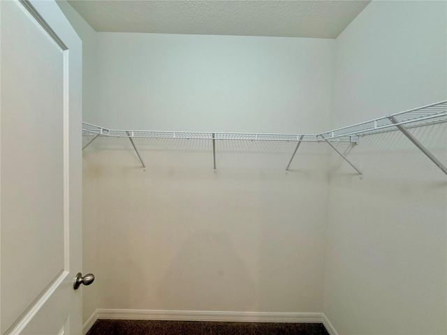 31000 SUMMER SUN LOOP, Wesley Chapel, FL 33545