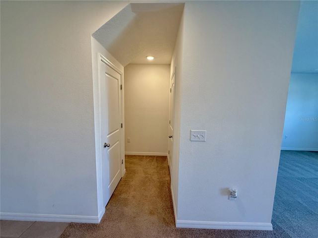 31000 SUMMER SUN LOOP, Wesley Chapel, FL 33545