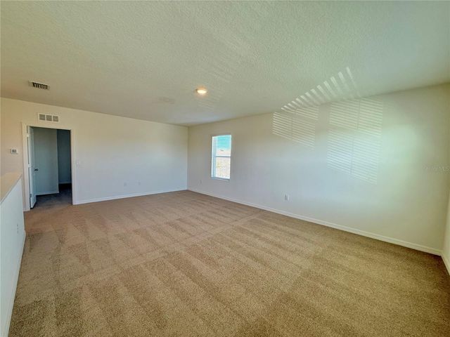 31000 SUMMER SUN LOOP, Wesley Chapel, FL 33545