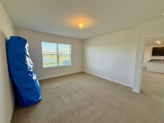 31000 SUMMER SUN LOOP, Wesley Chapel, FL 33545