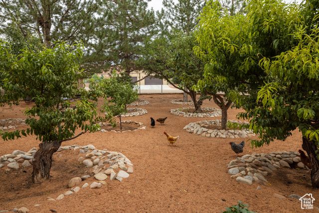 2720 BENCH RD, Moab, UT 84532