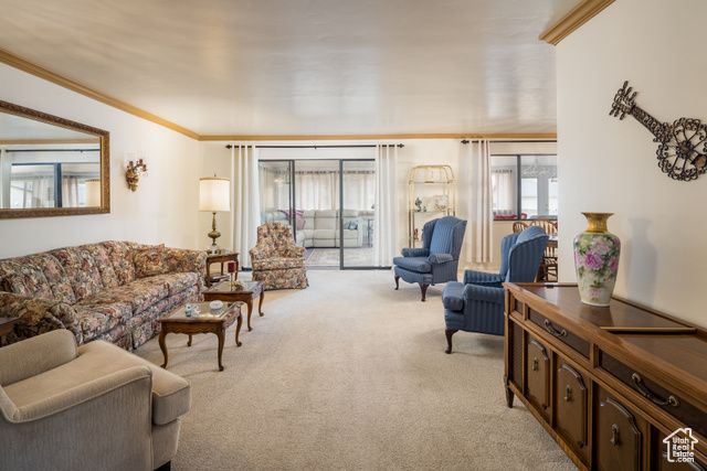 2720 BENCH RD, Moab, UT 84532