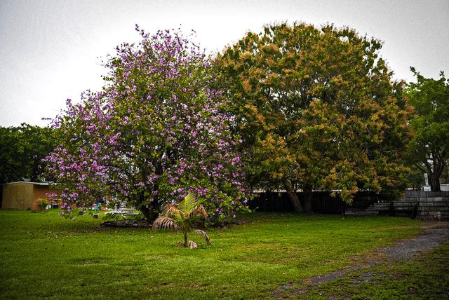 3825 Lakewood Road, Palm Springs, FL 33461