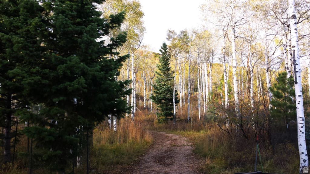 Image 68 of property listing at 6210 E MOUNTAIN VIEW #133 #133, Oakley, UT 84055