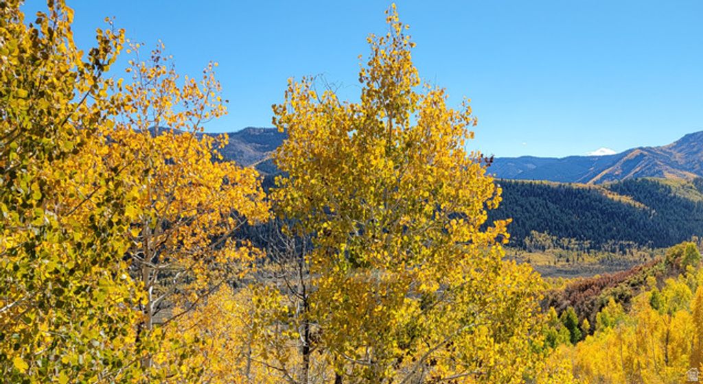 Image 70 of property listing at 6210 E MOUNTAIN VIEW #133 #133, Oakley, UT 84055
