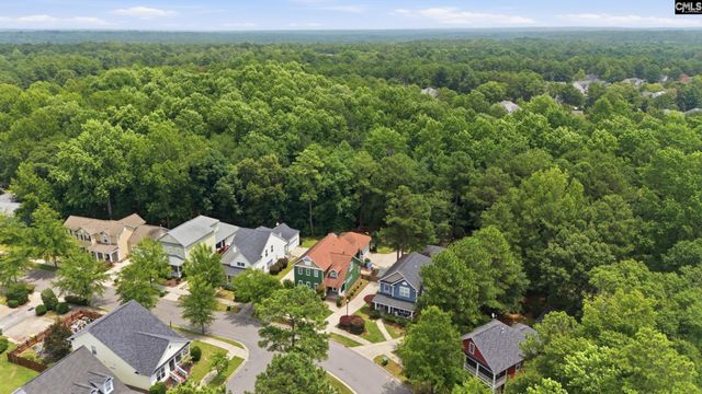 229 Woodleigh Park Drive, Columbia, SC 29229