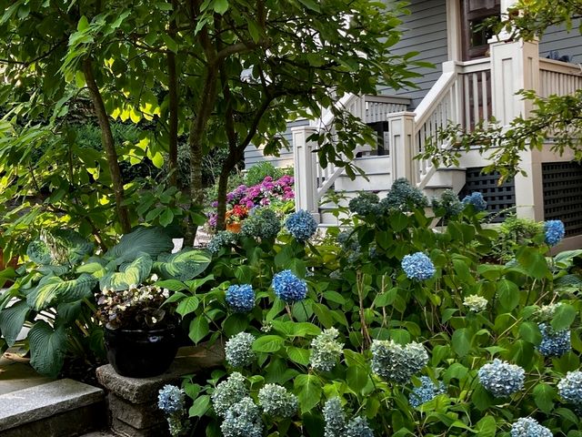 80 Upland Rd B, Cambridge, MA 02140