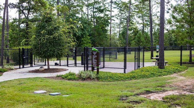 719 Carina Gaze Court, Conroe, TX 77318