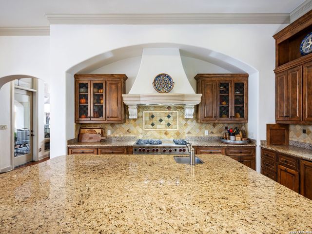222 Farne Castle, Shavano Park, TX 78249