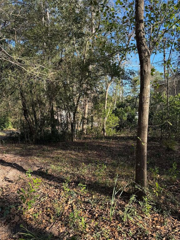 15726 Holly Drive, Montgomery, TX 77356