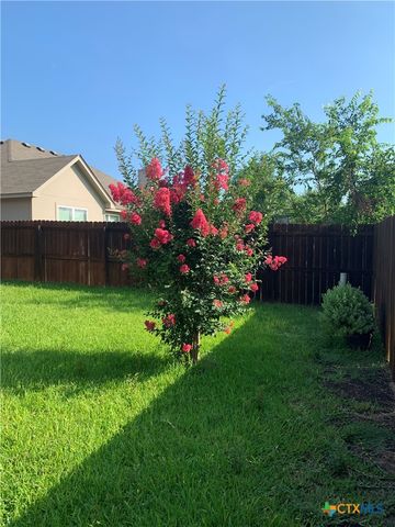 1113 Branchwood Way, Temple, TX 76502