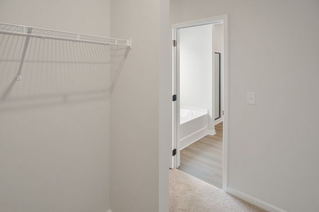 115 Avalon Dr, Columbia, TN 38401