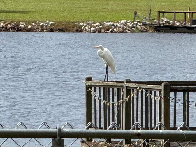 485 E Emerald Lake Drive, Sumter, SC 29153