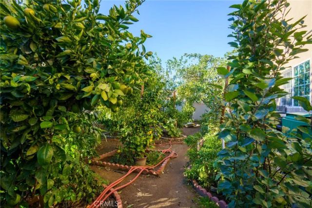 1553 W Ceres, Rialto, CA 92376