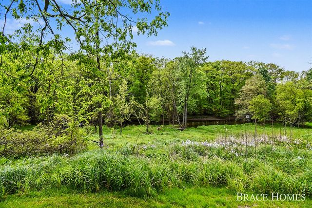 10748 100th Street, Alto, MI 49302