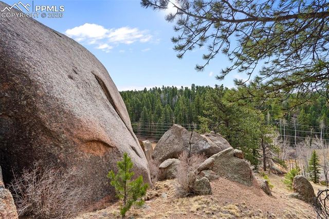 553 Arrowhead Road, Florissant, CO 80816