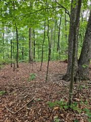 0 Deer Jump Trail 347, Lake Lure, NC 28746