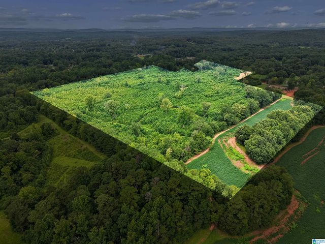O HIGHWAY 60, Vincent, AL 35178