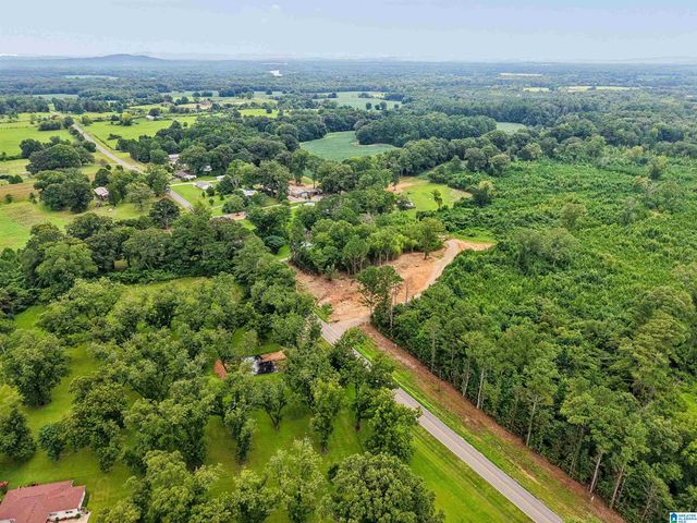 O HIGHWAY 60, Vincent, AL 35178