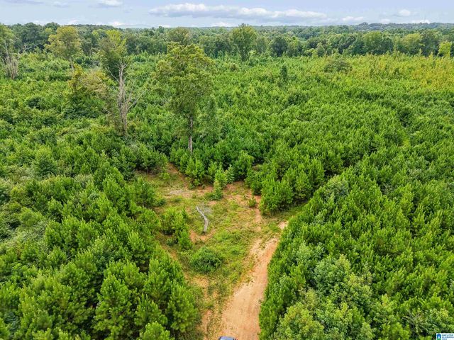 O HIGHWAY 60, Vincent, AL 35178