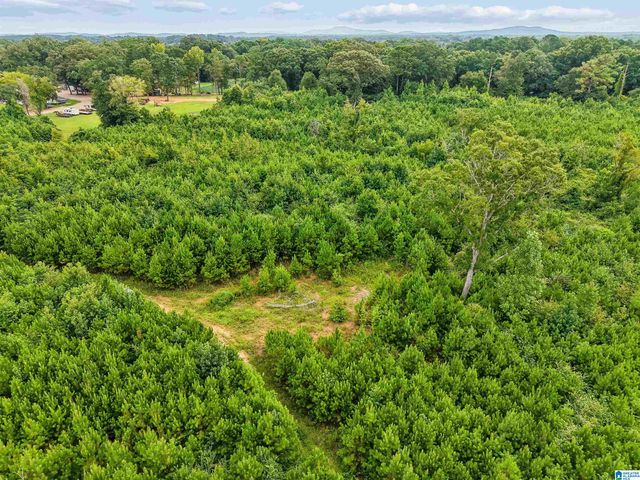 O HIGHWAY 60, Vincent, AL 35178