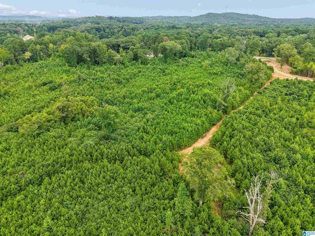 O HIGHWAY 60, Vincent, AL 35178