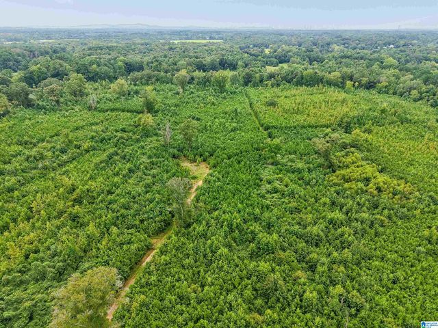 O HIGHWAY 60, Vincent, AL 35178