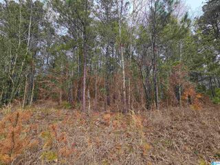 352 HUNTERS CROSSING ROAD, Odenville, AL 35120