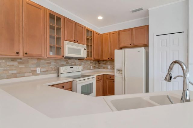 125 SHELL FALLS DRIVE, Apollo Beach, FL 33572