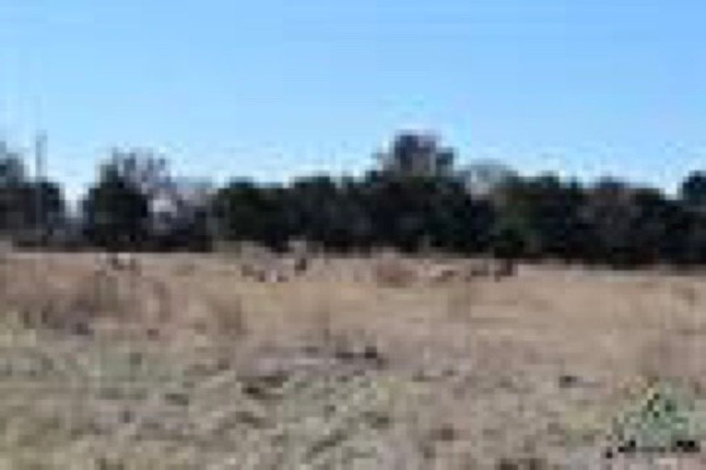116 Hinton Street, Tioga, TX 76271