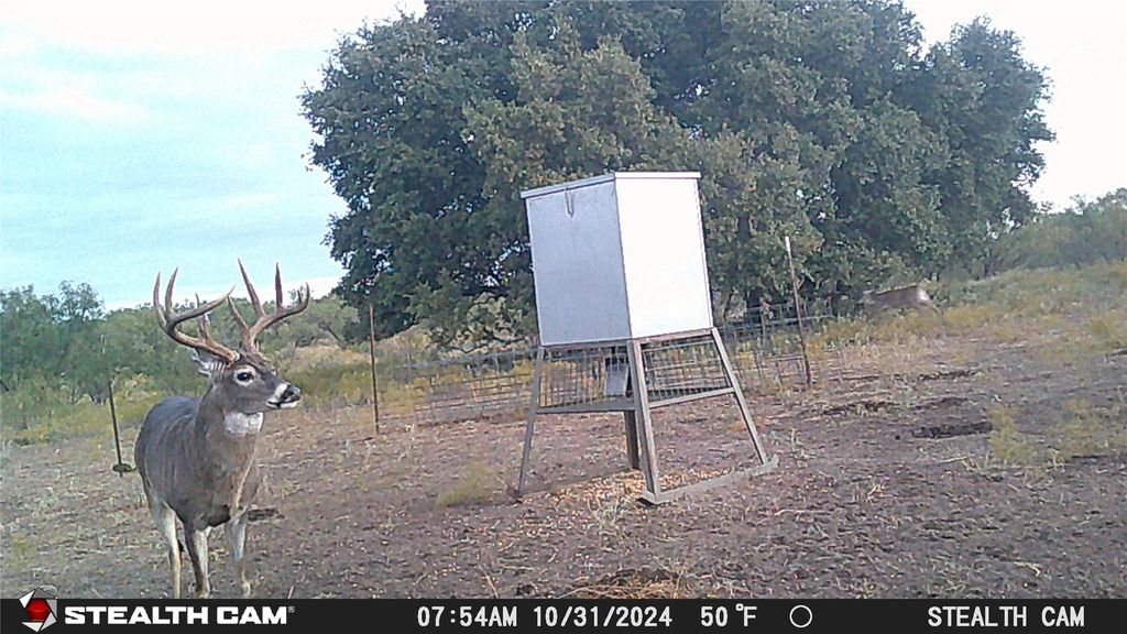 TBD County Road 294N, Early, TX 76802